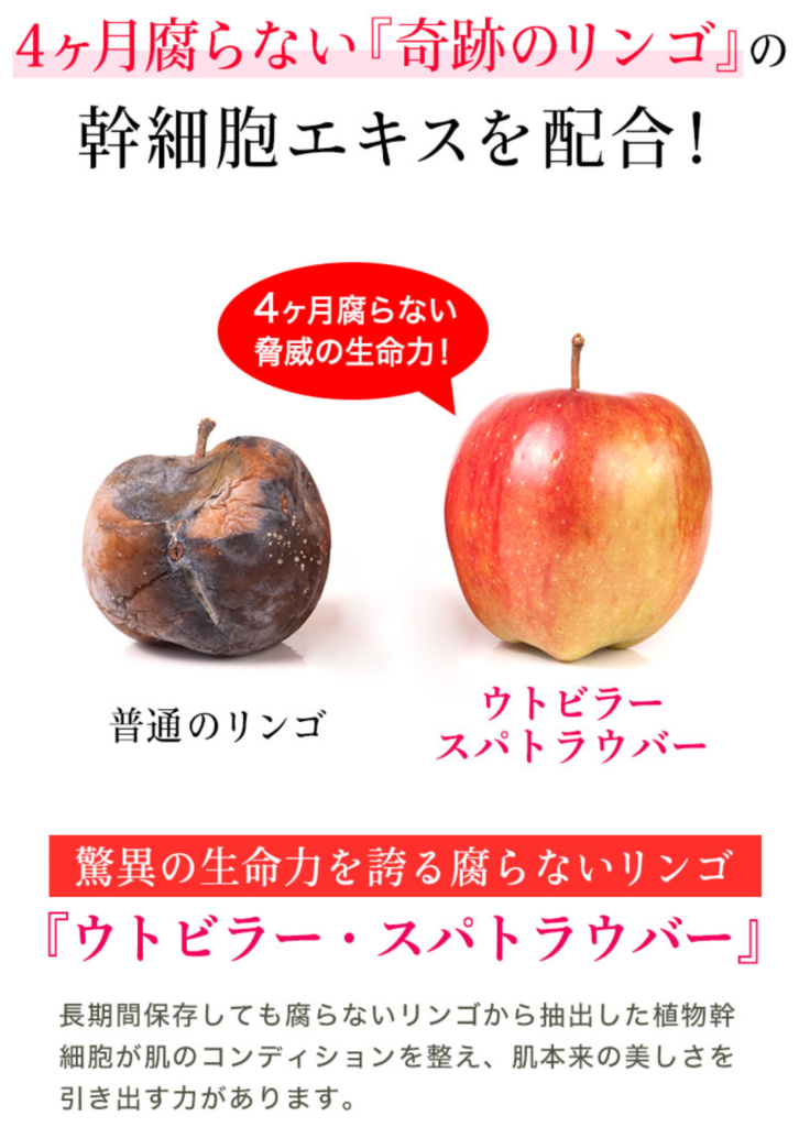 使ってみて良かったおすすめ スキンケアトライアルセット 植物幹細胞 4ヶ月腐らない林檎エキス 酵母 Kisaki Airi