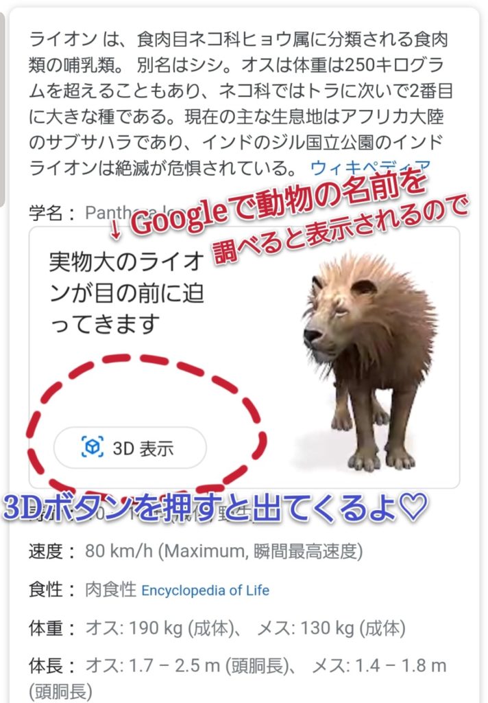 3D動物