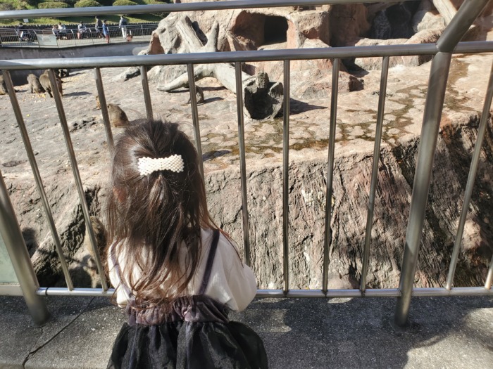 安佐動物公園の猿を見ている娘