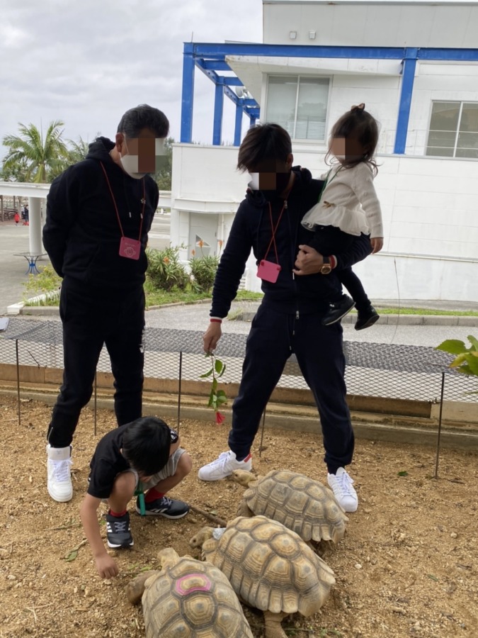 もとぶ元気村で亀に餌やり