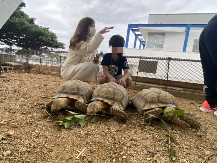 もとぶ元気村で亀に餌やりをしている写真