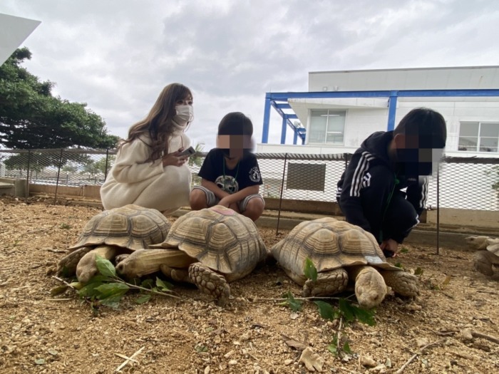 もとぶ元気村で亀に餌やりをしている写真