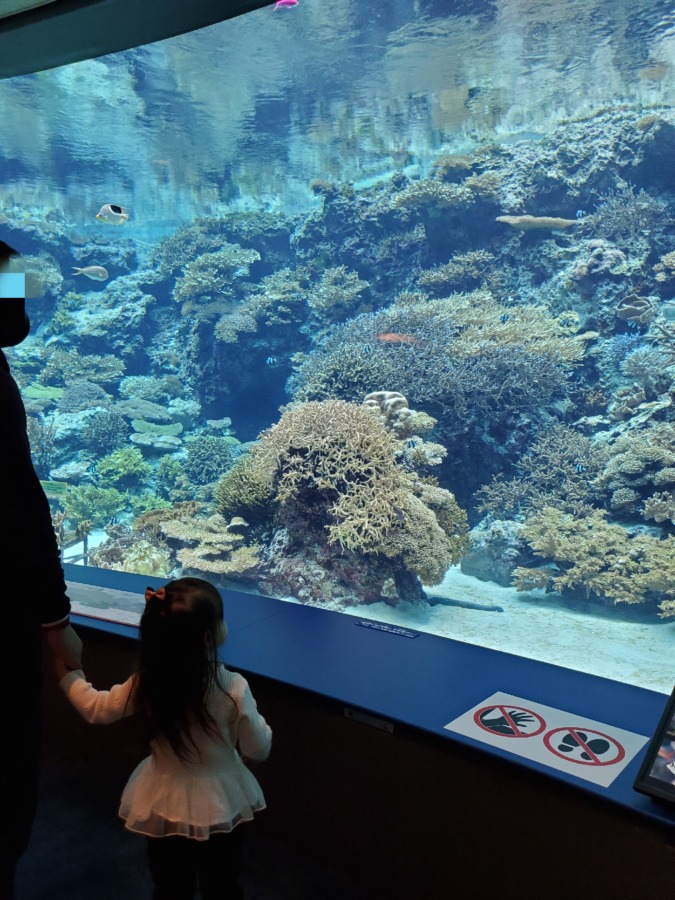 美ら海水族館