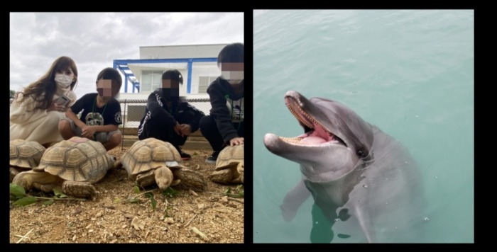 沖縄もとぶ元気村