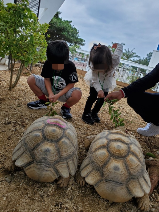 もとぶ元気村