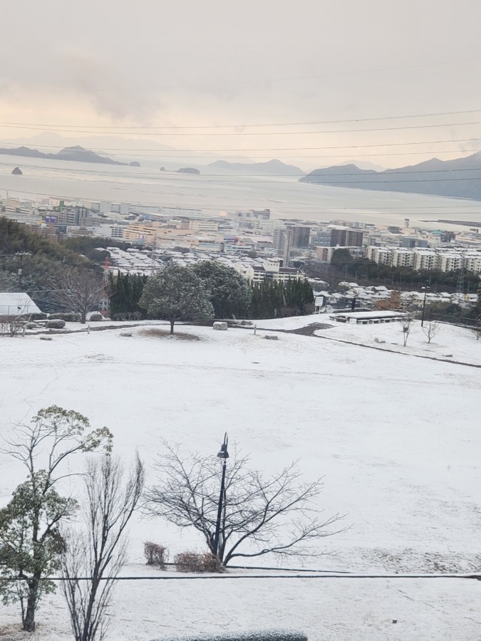 雪が積もっている写真