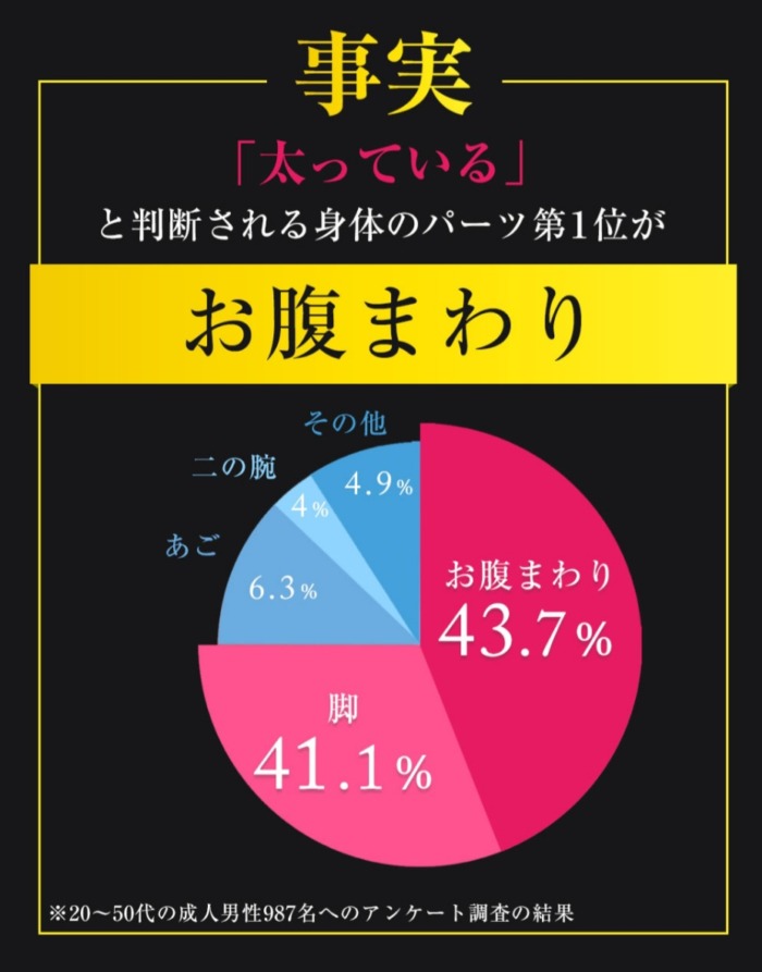 ベルミススリムトップ