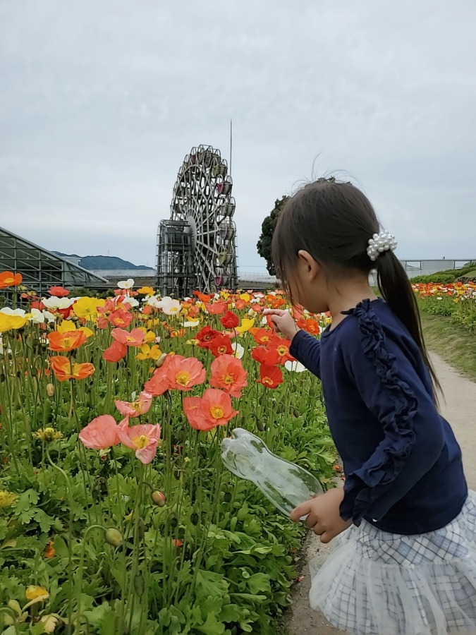 柳井フラワーランド