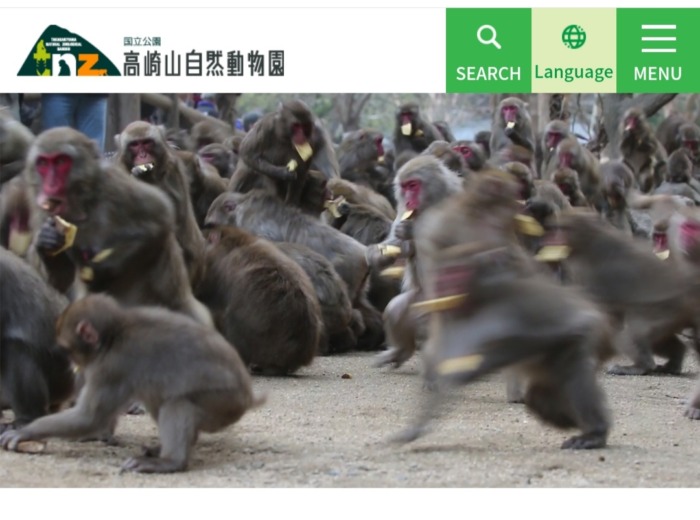 高崎山自然動物園